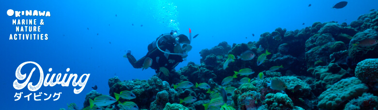 Diving | OKINAWA MARINE & NATURE ACTIVITY
