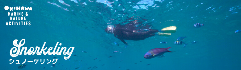 OKINAWA MARINE & NATURE ACTIVITY Snorkeling シュノーケリング