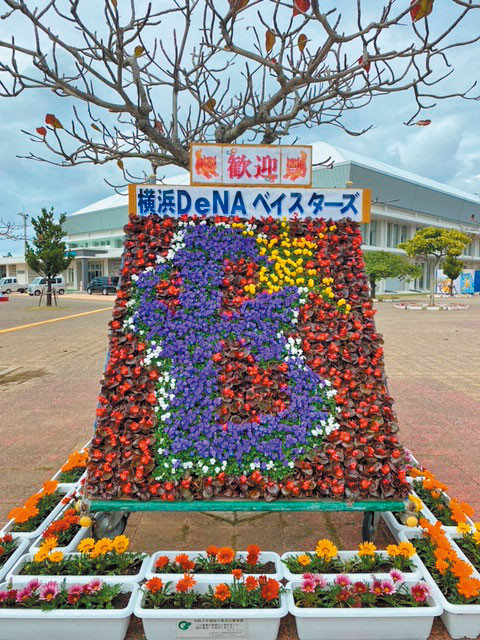 第13回グリーンコミュニティin宜野湾 南国の花で「横浜DeNAベイスターズ」を迎えよう!!!