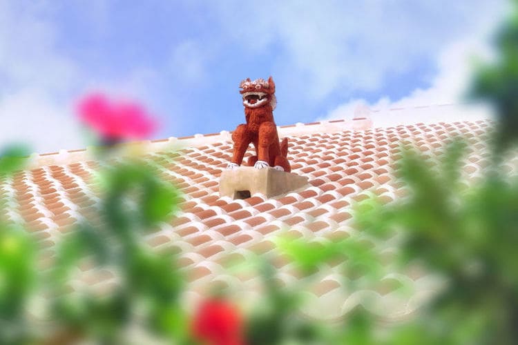 あがち運転代行 情報一覧 沖縄の交通アクセス 沖縄観光情報webサイト おきなわ物語