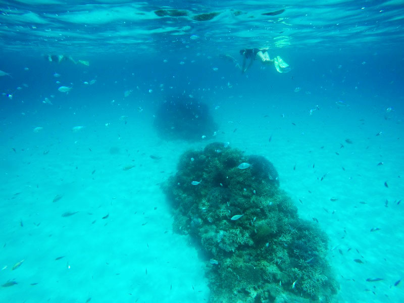 高速船orフェリーで行く 渡嘉敷島 阿波連ビーチ 日帰りツアー 情報一覧 沖縄で定番 おすすめの観光スポット 沖縄観光情報webサイト おきなわ物語