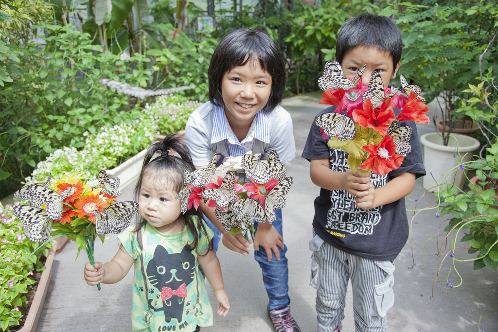 琉宮城蝶々園 情報一覧 沖縄で定番 おすすめの観光スポット 沖縄観光情報webサイト おきなわ物語