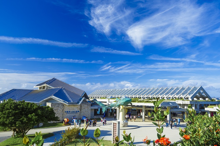 海洋博公園 沖縄美ら海水族館 情報一覧 沖縄で定番 おすすめの観光スポット 沖縄観光情報webサイト おきなわ物語