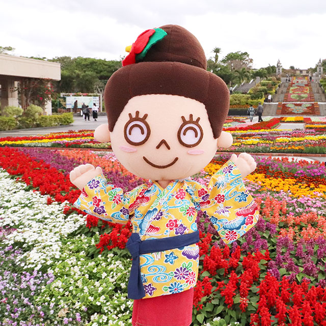 お花とナイトアクアリウム☆