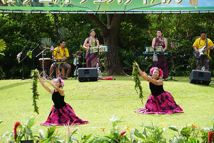 開催中止 Kiniアロハフェスティバルin石垣島 情報一覧 沖縄のイベント 沖縄観光情報webサイト おきなわ物語