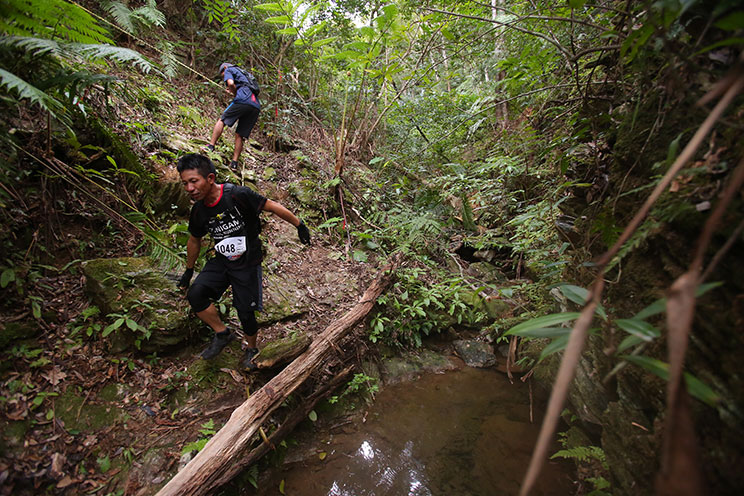 開催延期 国頭トレイルランニング大会 情報一覧 沖縄のイベント 沖縄観光情報webサイト おきなわ物語