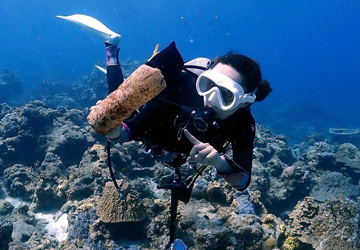 やんばるの森にだけ生息する ヤンバルクイナの生態展示学習施設