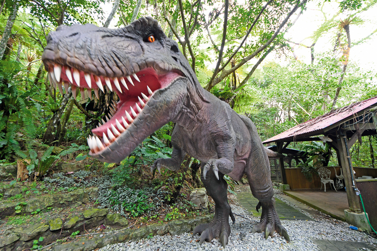 DINO恐竜PARKやんばる亜熱帯の森入園券＋観光バス