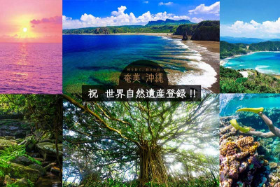 【祝】「奄美・沖縄」世界自然遺産の登録決定‼