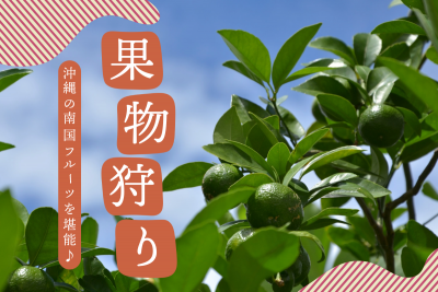 南国フルーツをお好きなだけ♪沖縄の果物狩りスポットをご紹介