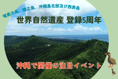 世界自然遺産登録５周年！沖縄で開催の注目イベント！