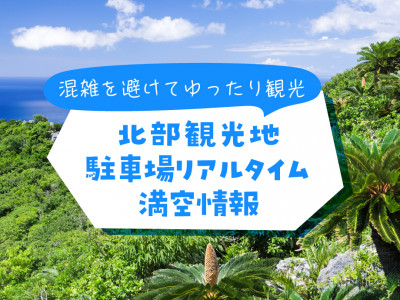 混雑を避けてゆったり観光！沖縄本島北部駐車場の混雑情報