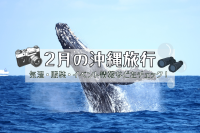 2月の沖縄旅行｜気温・服装・イベント情報などをチェック！