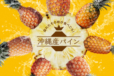 今が時期！沖縄県産パイナップル！