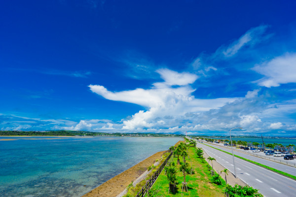 沖縄のローカルスポットやグルメをご紹介！