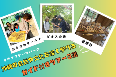 沖縄の自然や文化を深く学べるガイド付きツアー3選！