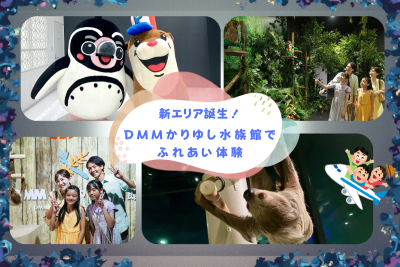 新エリア誕生！DMMかりゆし水族館でふれあい体験