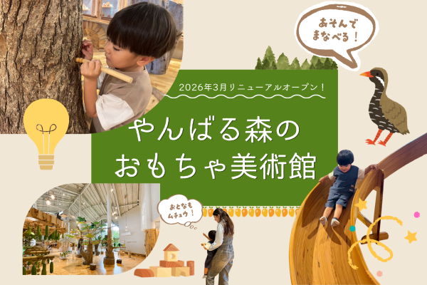 遊んで学べる！リニューアルしたやんばる森のおもちゃ美術館