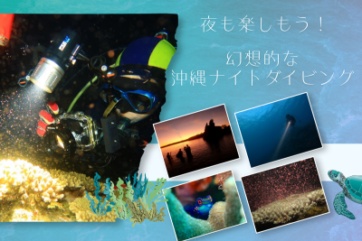 夜も楽しもう！幻想的な沖縄ナイトダイビング