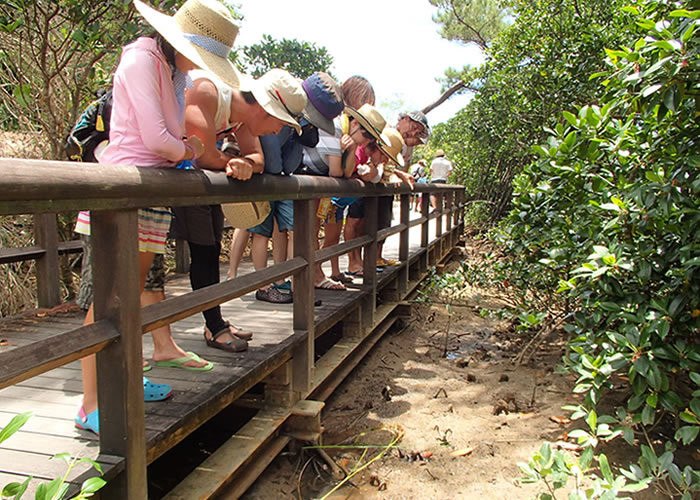 やんばる自然塾