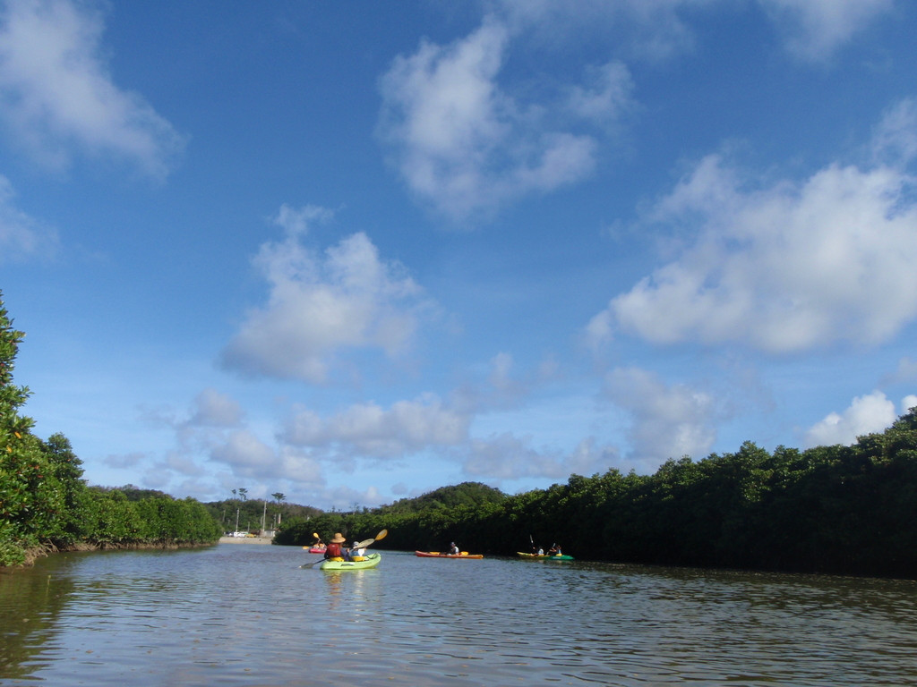 やんばる自然塾