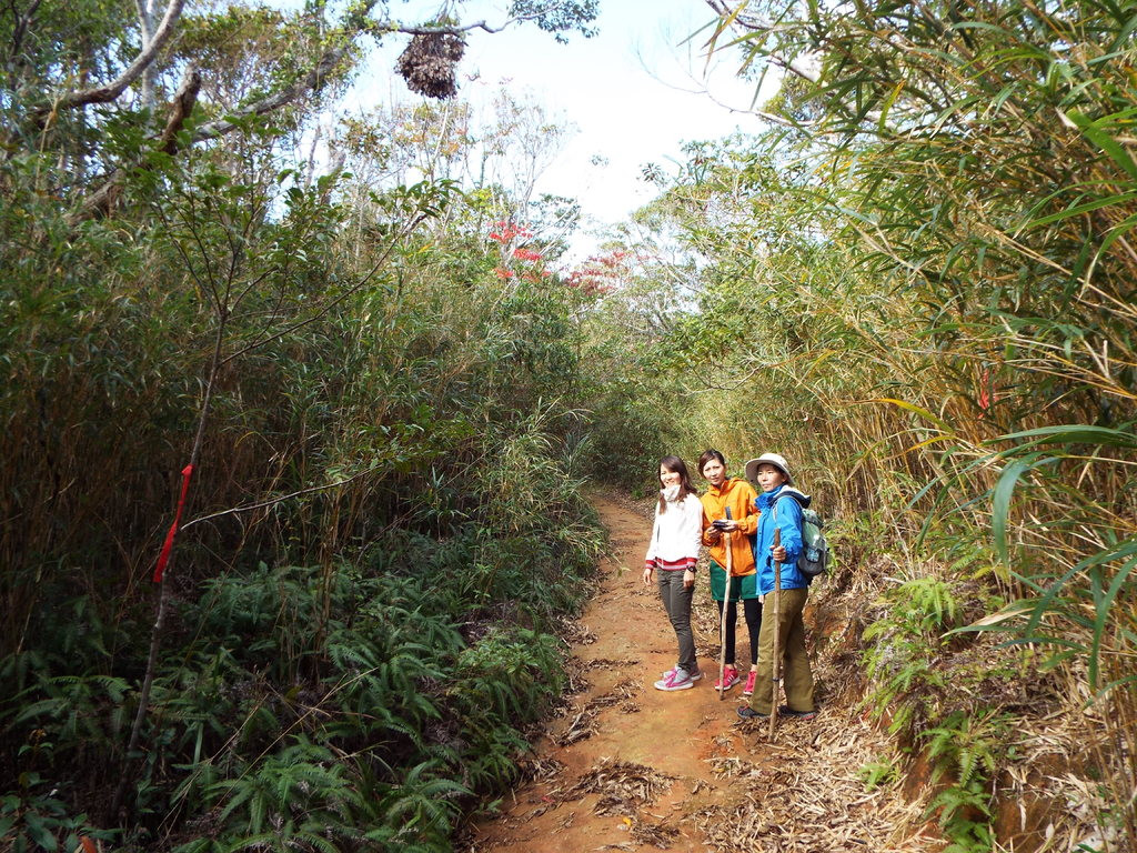 やんばるエコツーリズム研究所