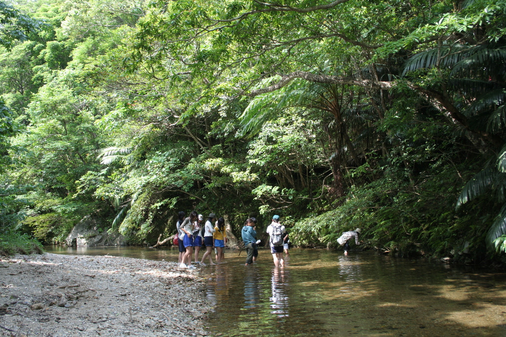 やんばるエコツーリズム研究所