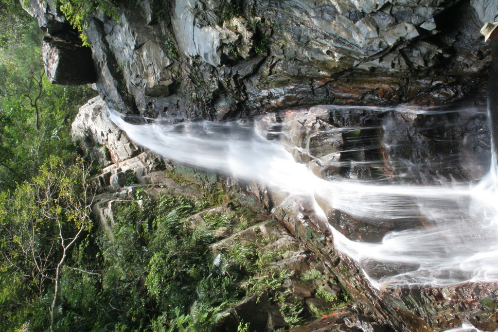 やんばるエコツーリズム研究所