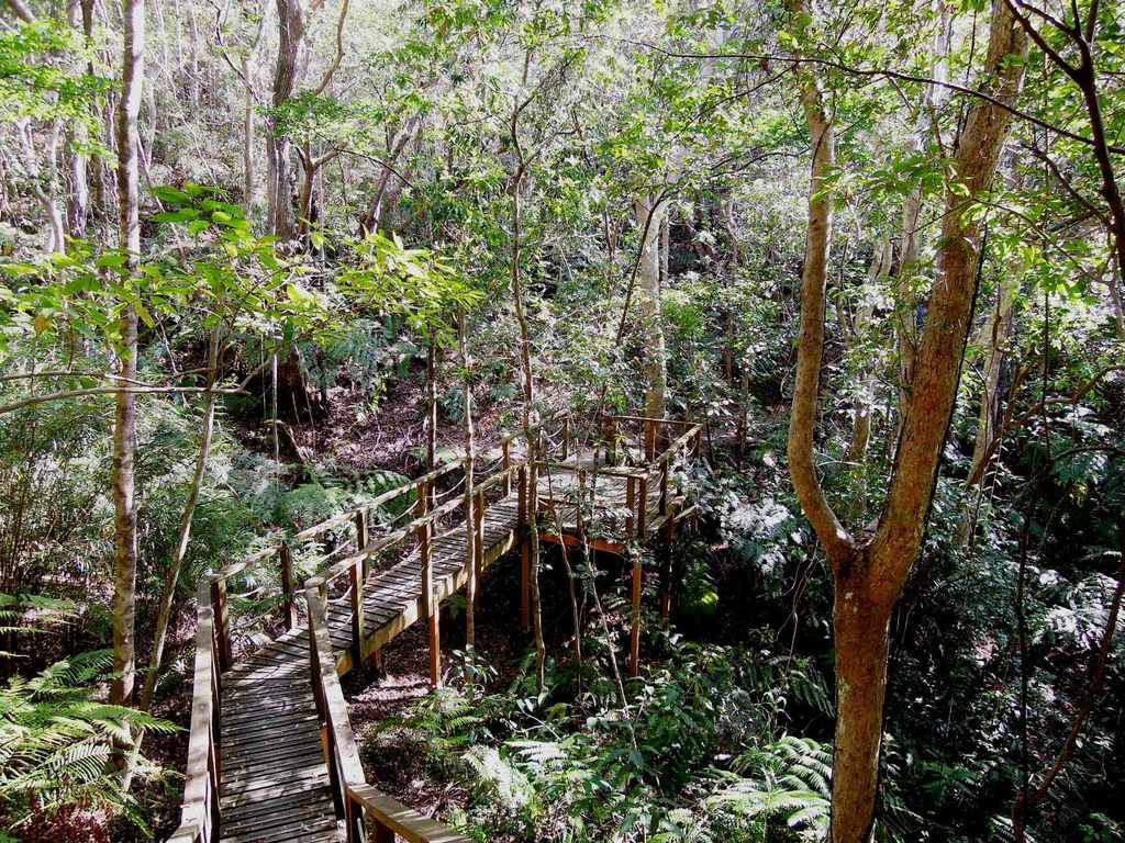 国頭村環境教育センター「やんばる学びの森」