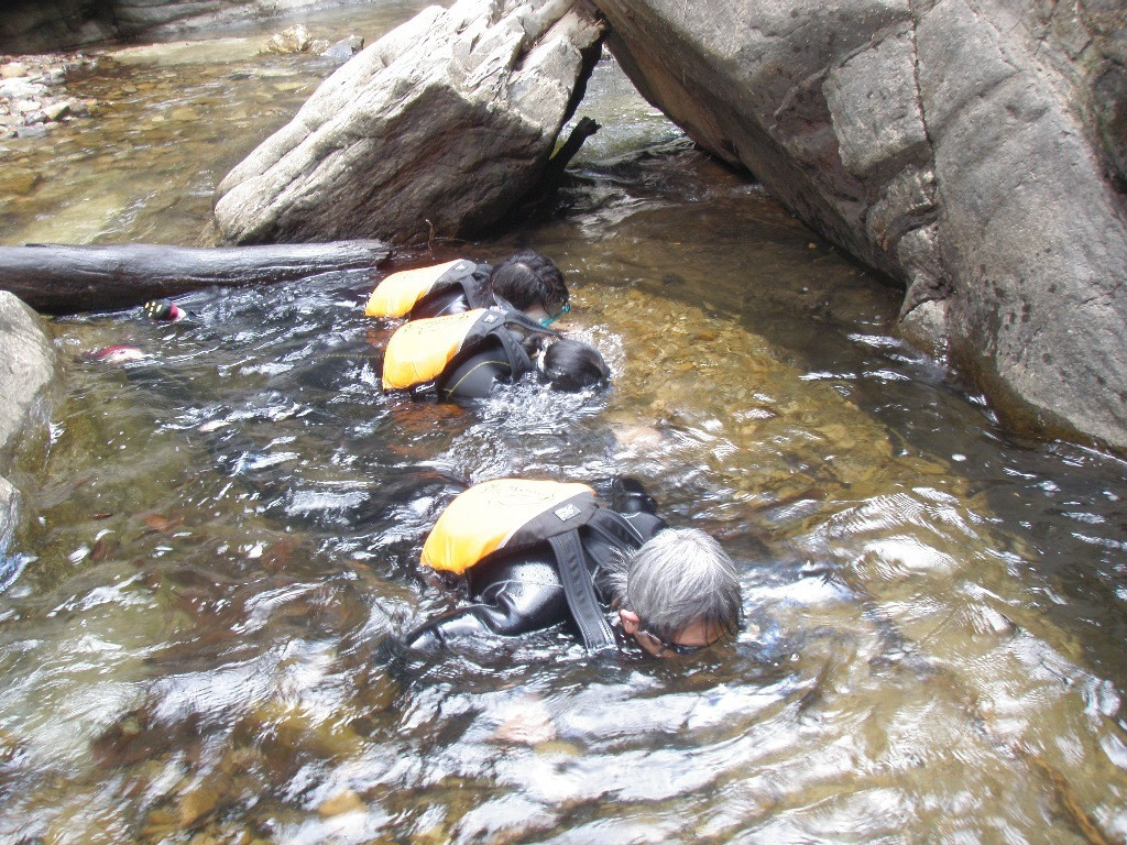 国頭村環境教育センター「やんばる学びの森」