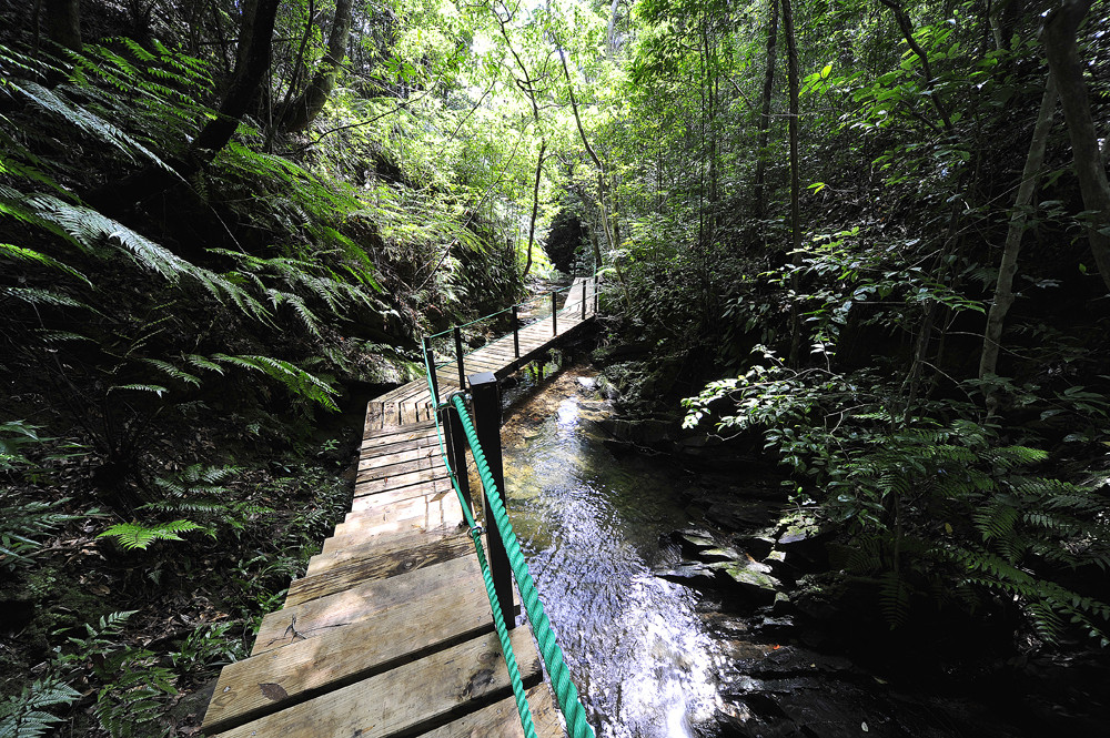 国頭村環境教育センター「やんばる学びの森」