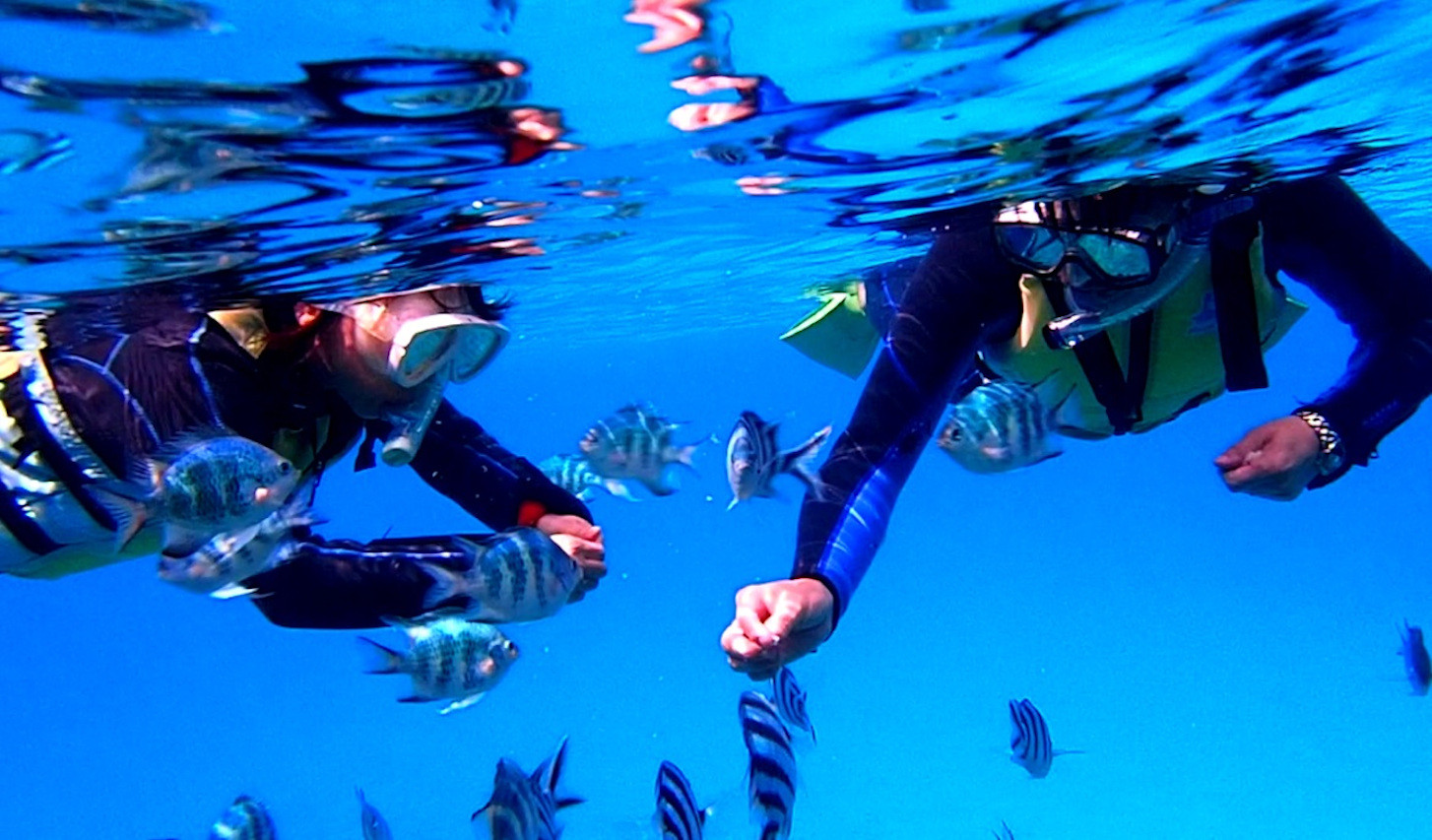 アイランドブリーズ　ブセナリゾート店