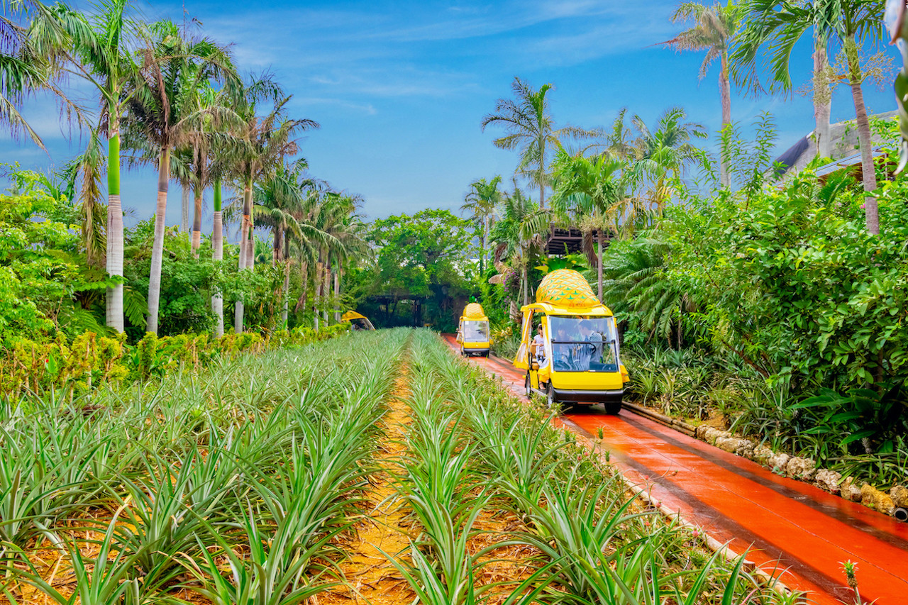 ナゴパイナップルパーク