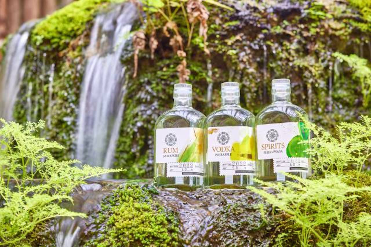 ナゴパイナップルパーク