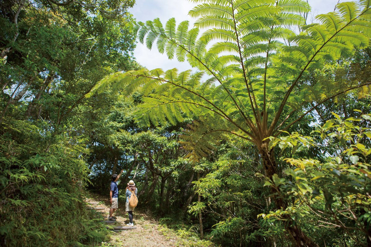 オクマ プライベートビーチ ＆ リゾート