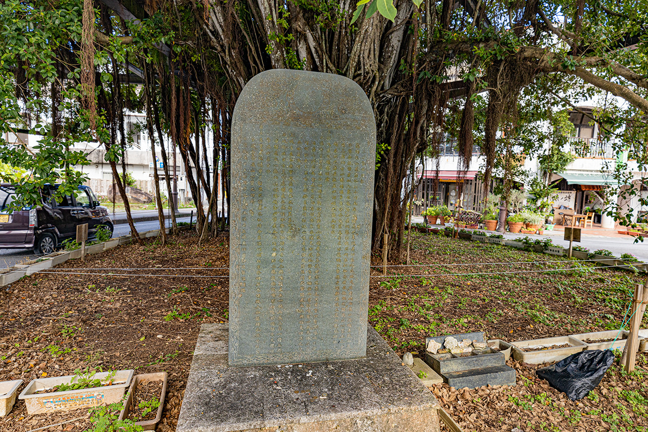 ひんぷんガジュマル