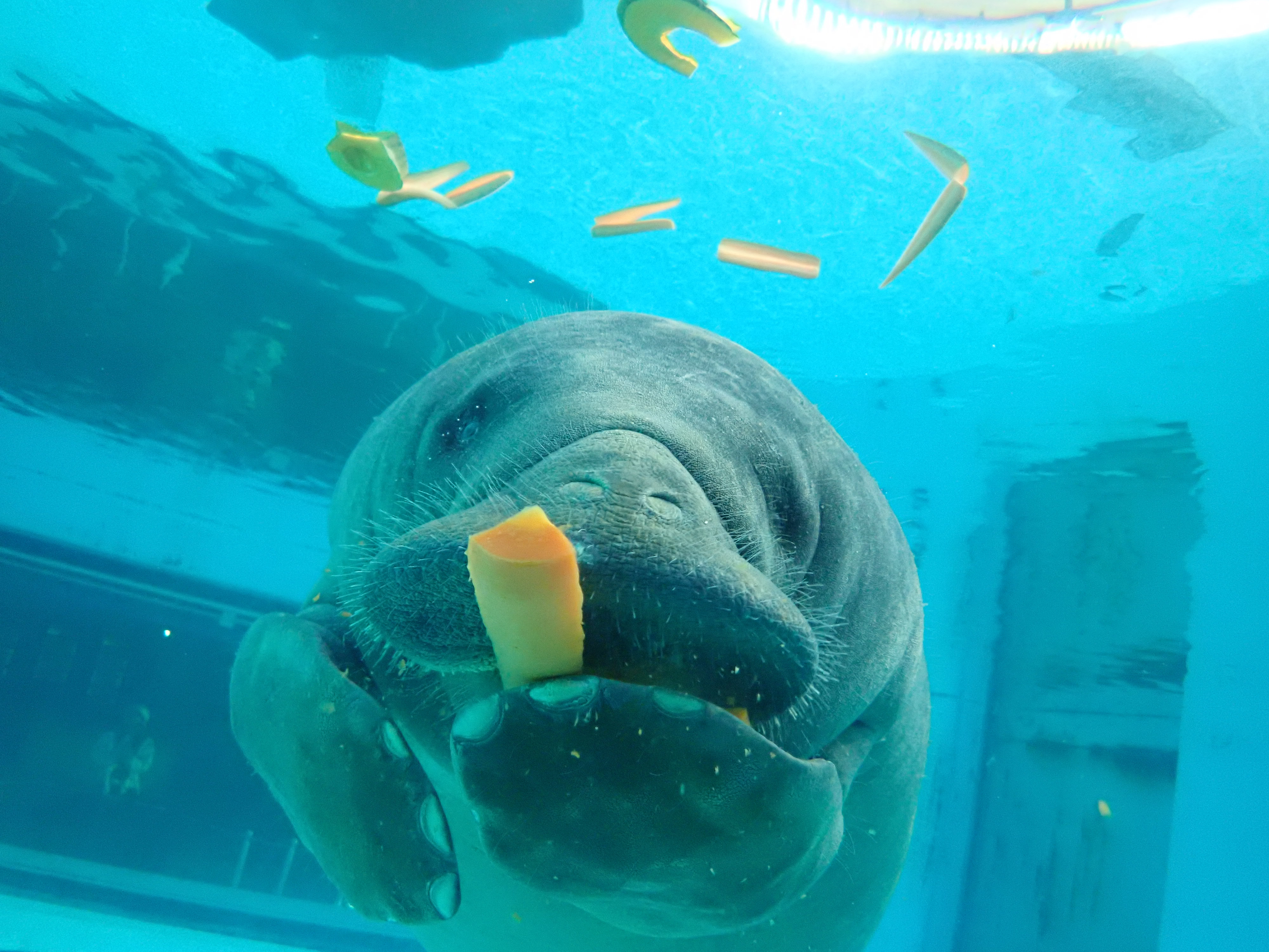 国営沖縄記念公園（海洋博公園）・沖縄美ら海水族館