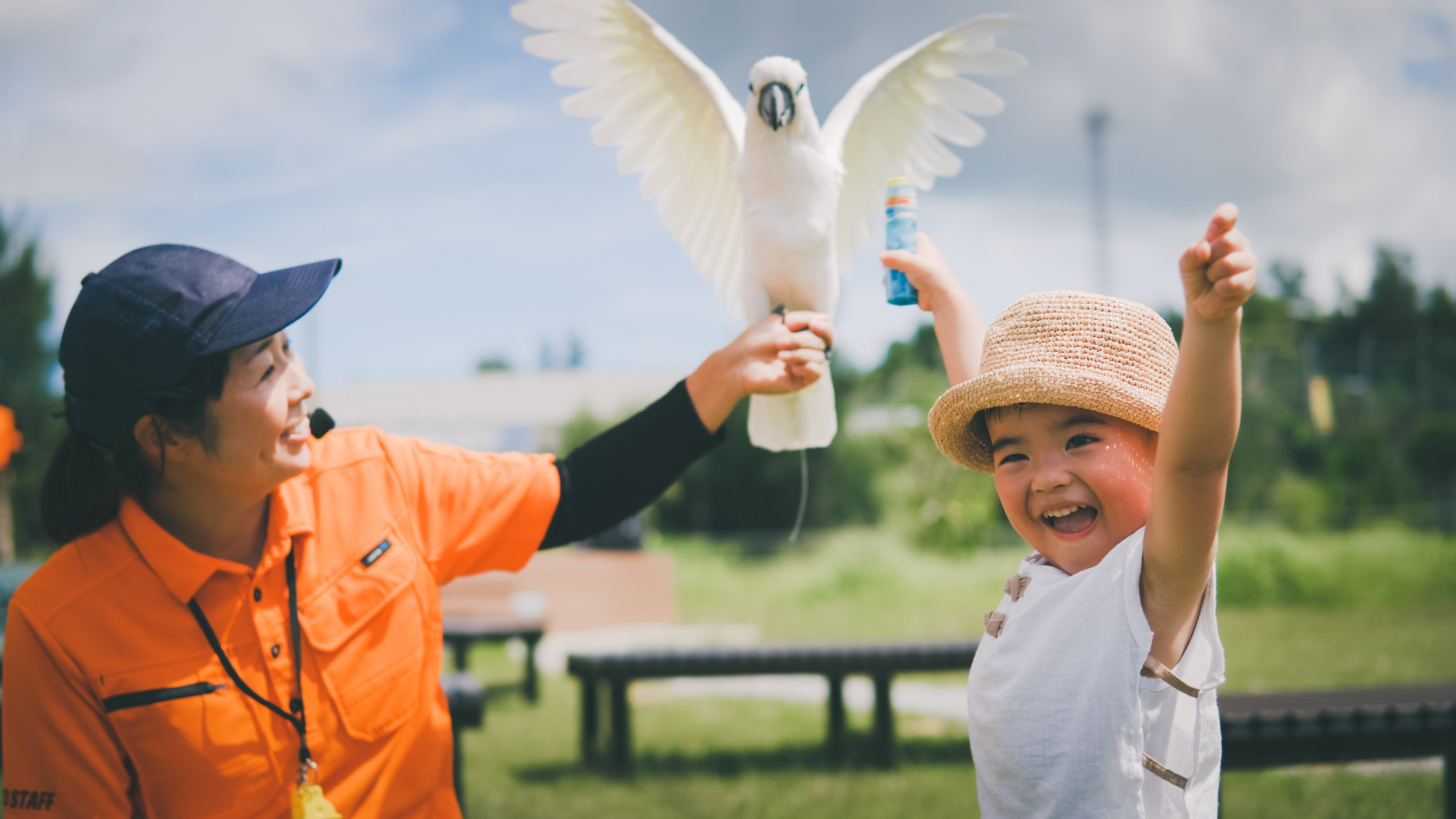 ネオパークオキナワ