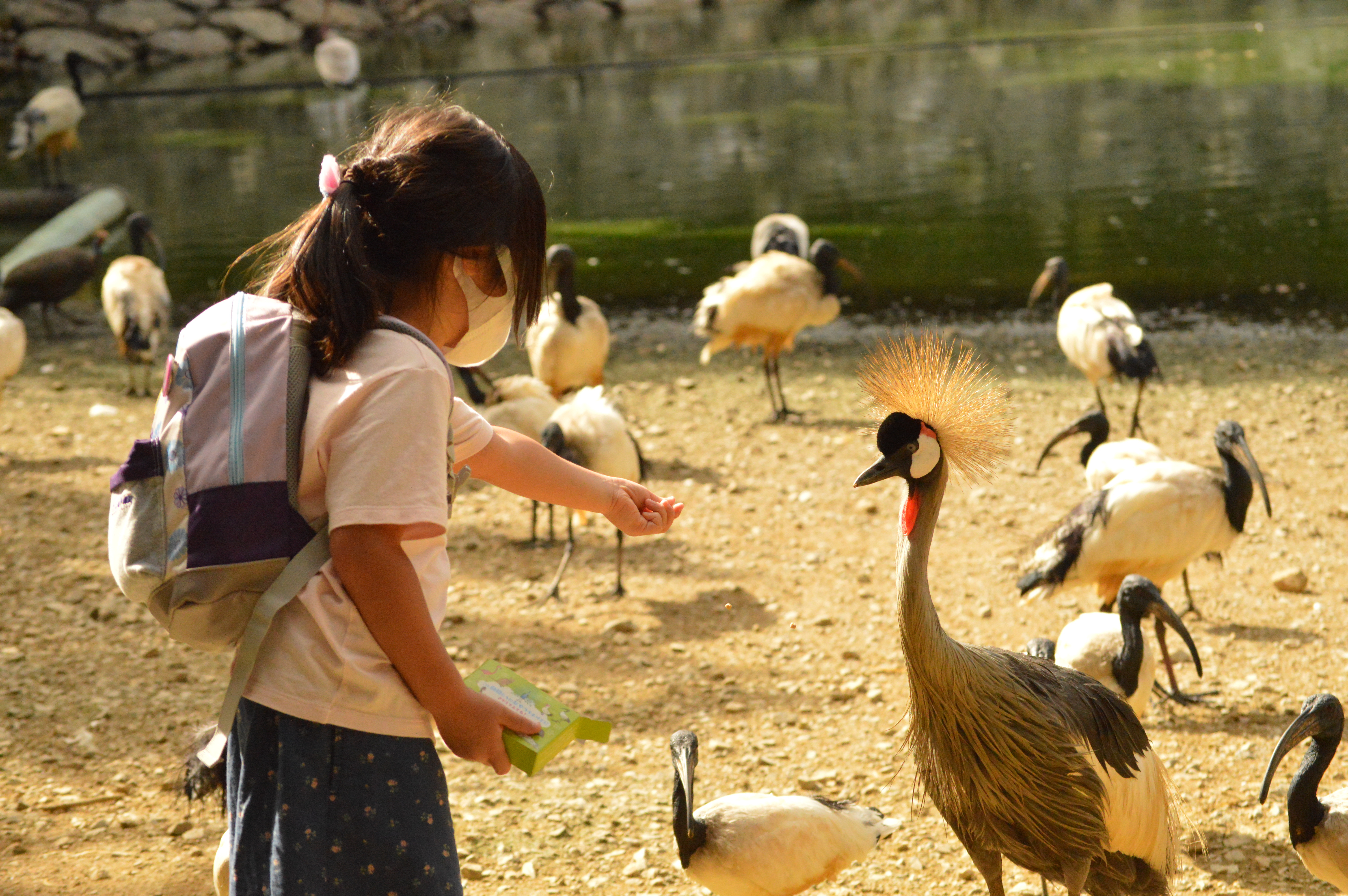ネオパークオキナワ