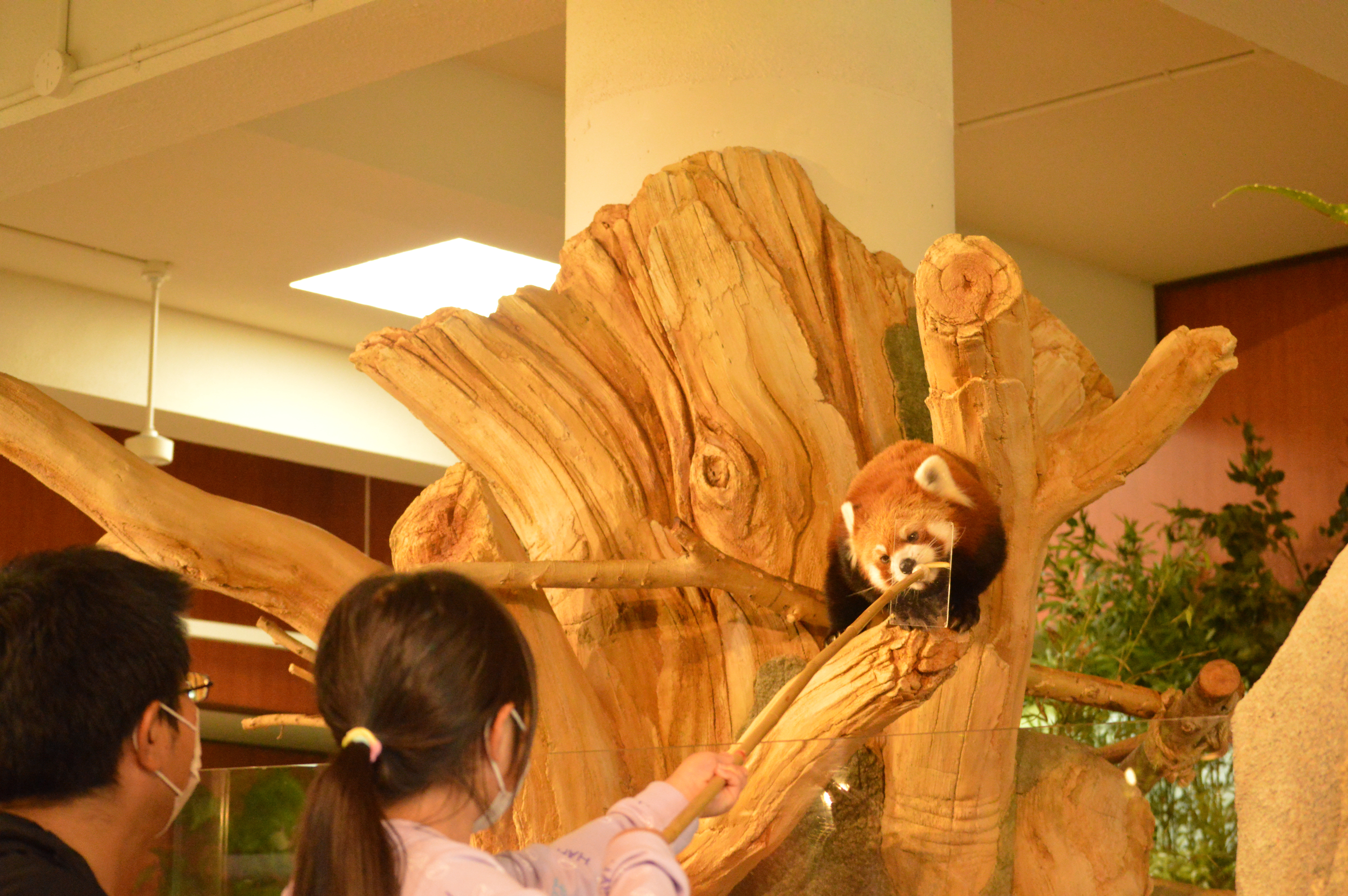 ネオパークオキナワ