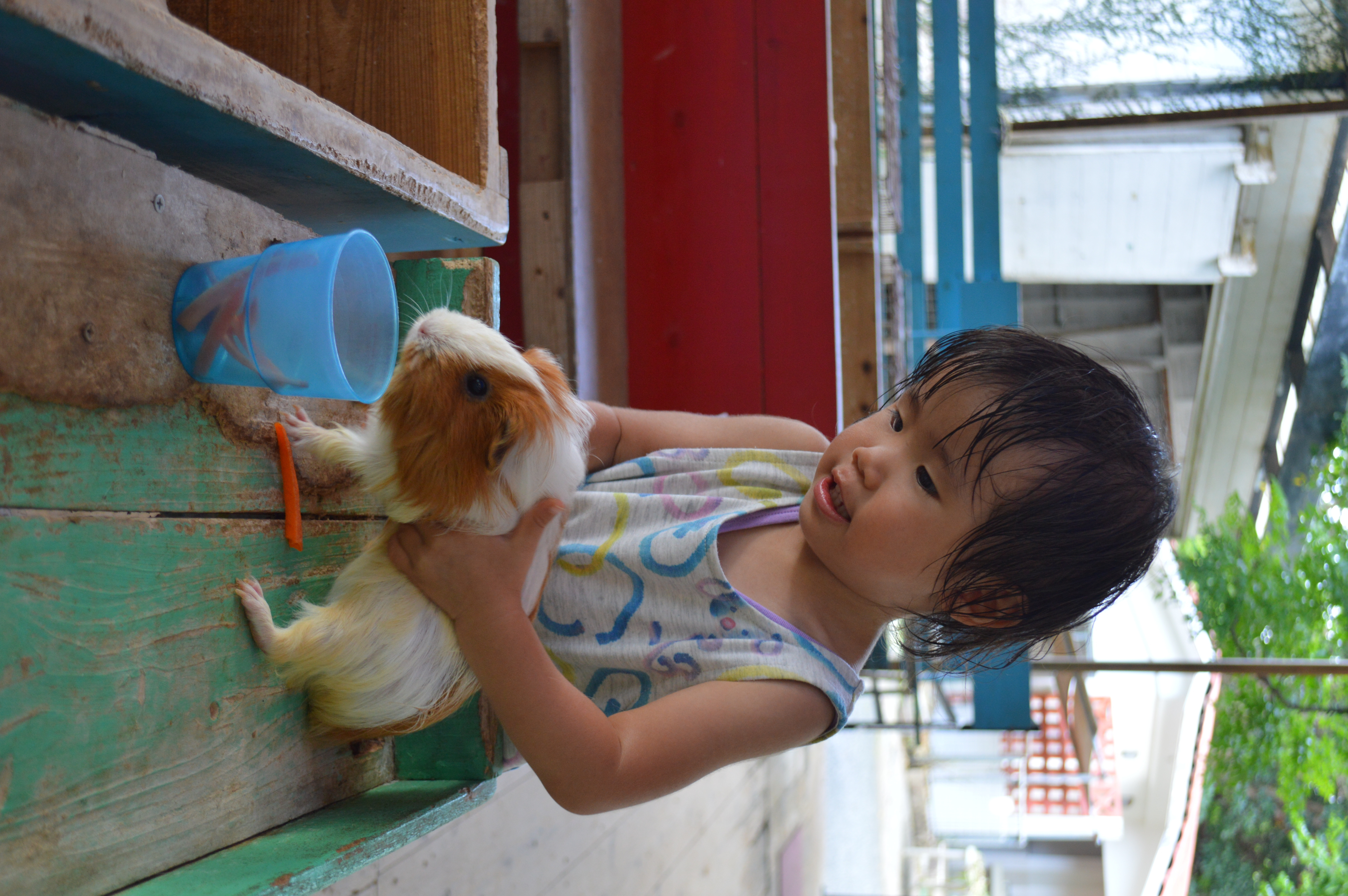 ネオパークオキナワ