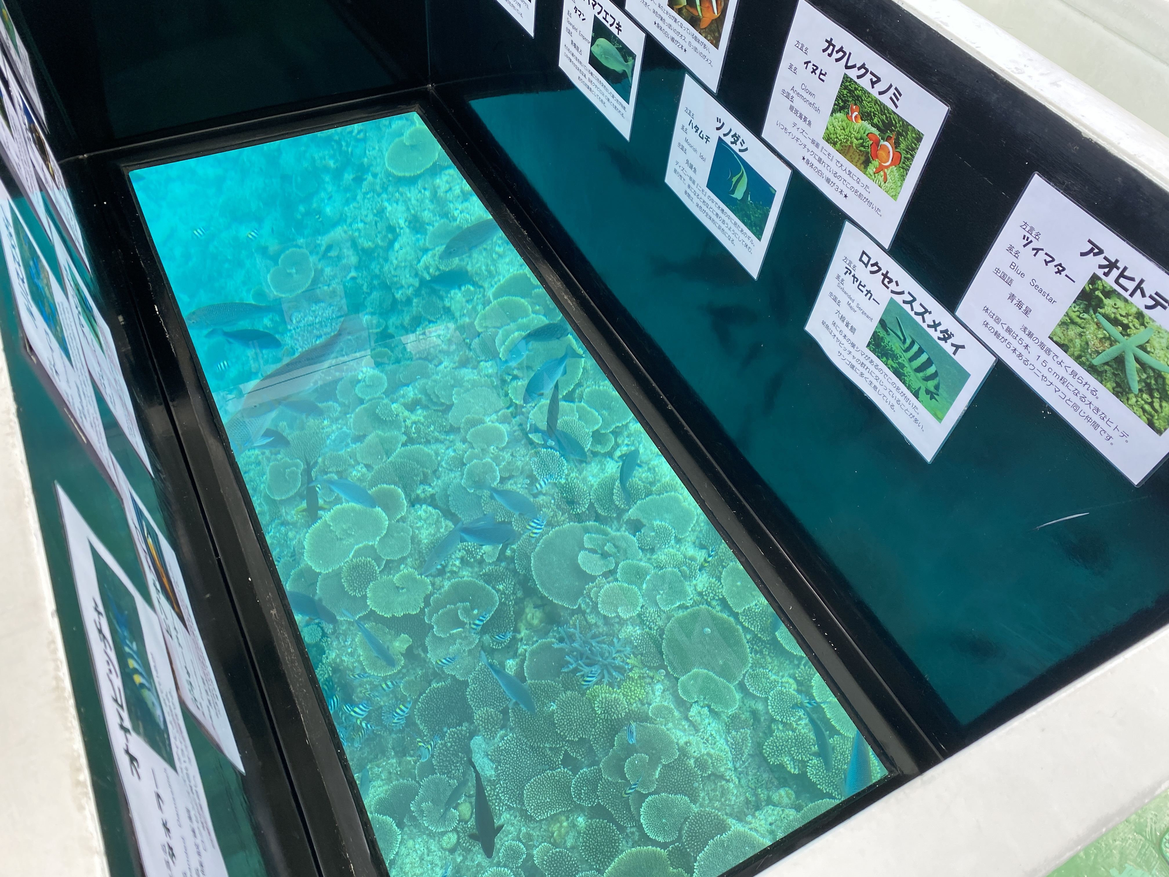 ブセナ海中公園