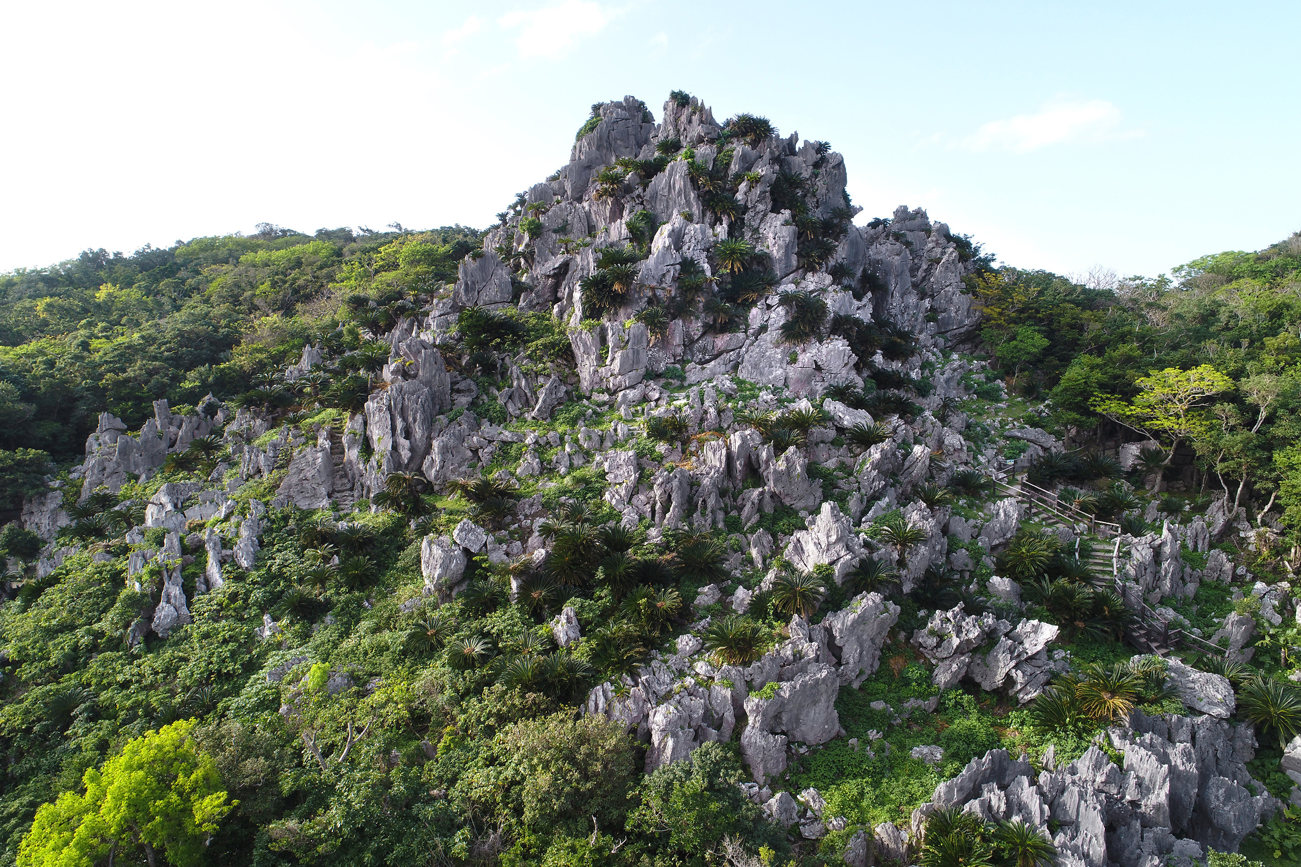 アスムイハイクス(旧大石林山)
