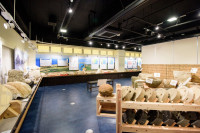 沖縄石の文化博物館　展示室
