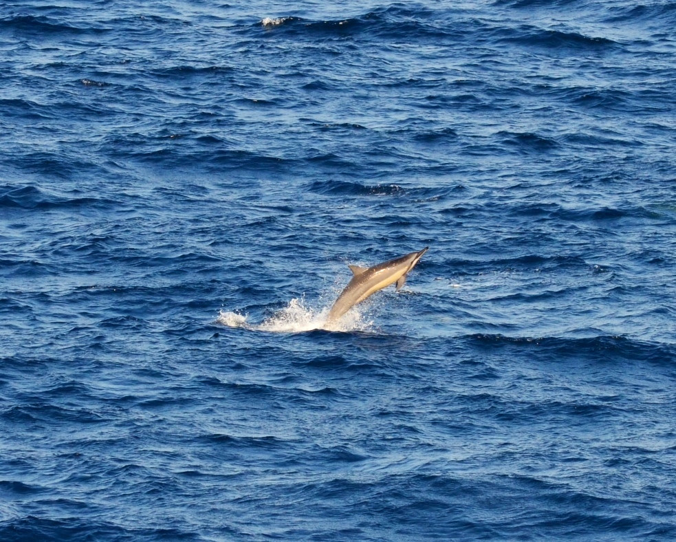 真栄田岬・青の洞窟