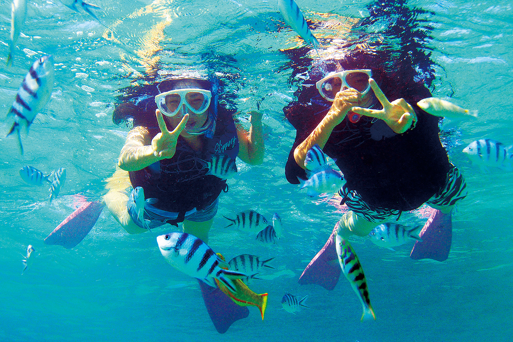 ザ・ムーンビーチ ミュージアムリゾート　マリンスポーツ