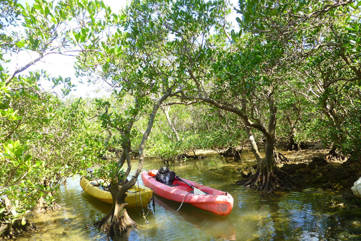 なきじん海辺の自然学校