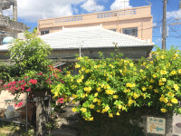 外観　沖縄の瓦屋根古民家