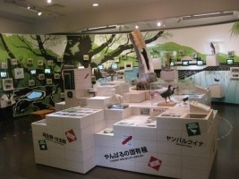 やんばる野生生物保護センター