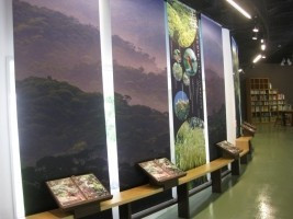 やんばる野生生物保護センター